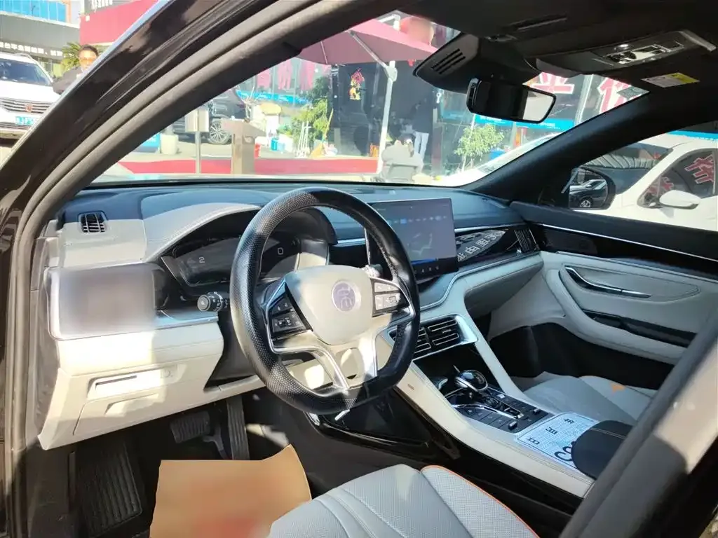 BYD PLUS New Energy — фото 10