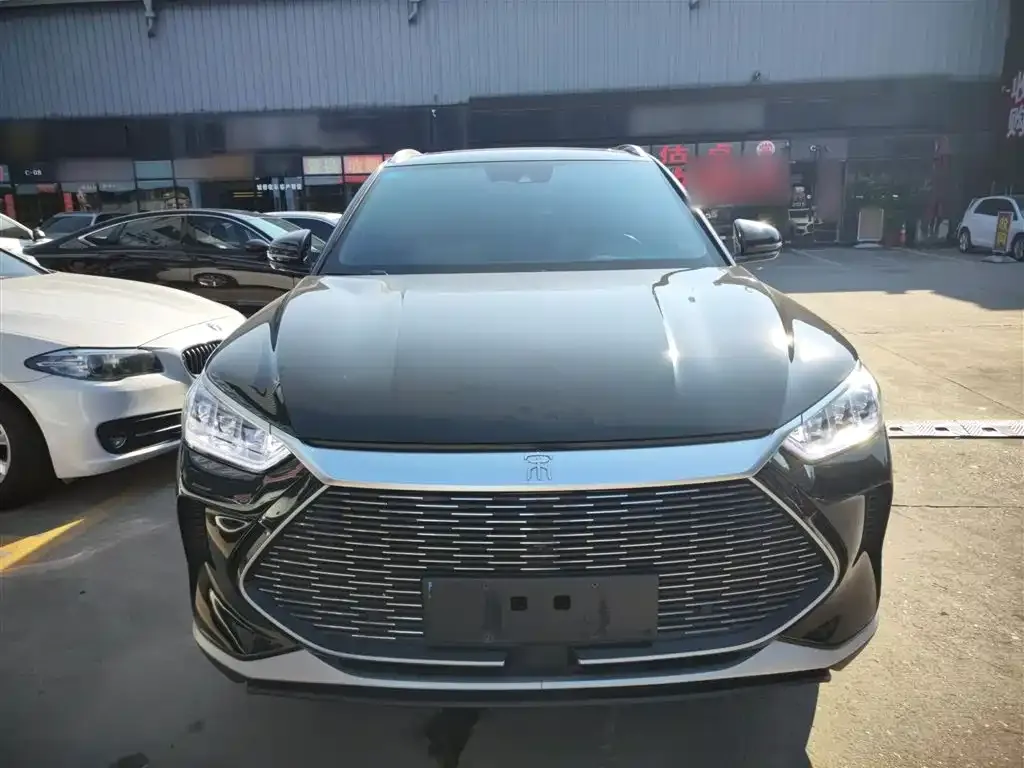 BYD PLUS New Energy — фото 3