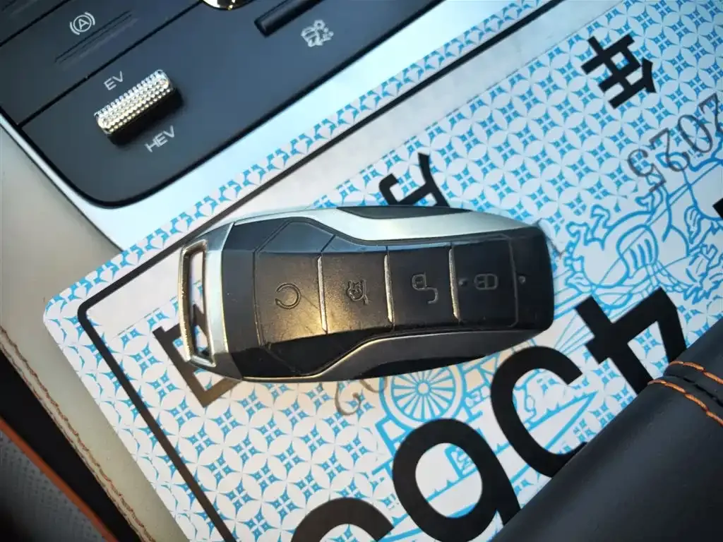 BYD PLUS New Energy — фото 9