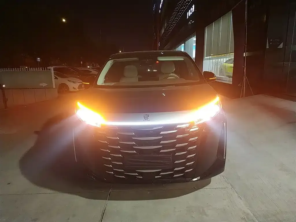 BYD Xia 2025 из CN, фото 3