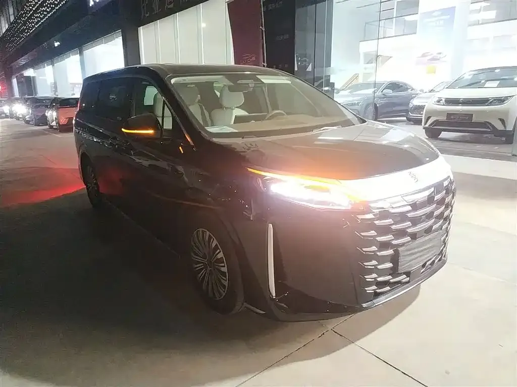 BYD Xia 2025 из CN, фото 4