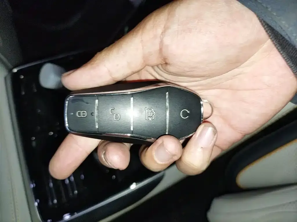 BYD Tang New Energy 2023 из CN, фото 10