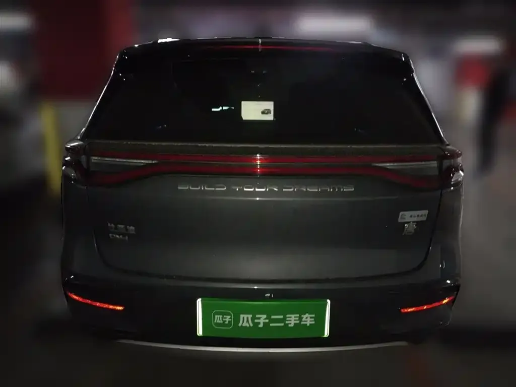 BYD Tang New Energy 2023 из CN, фото 6