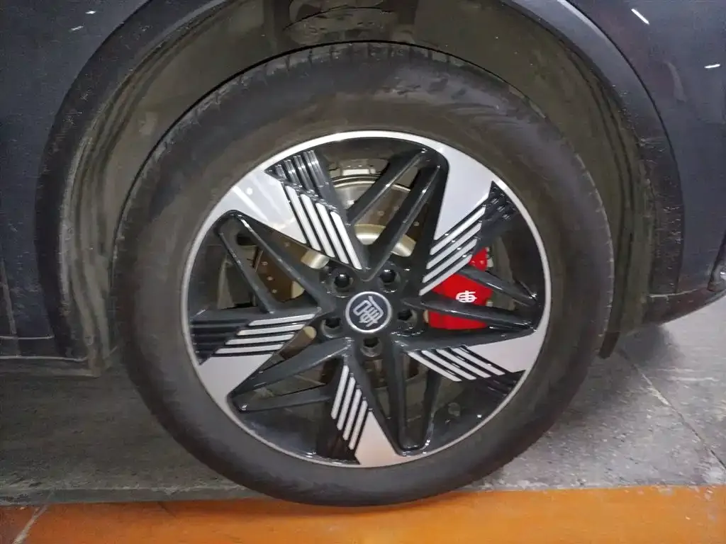 BYD Tang New Energy 2023 из CN, фото 9