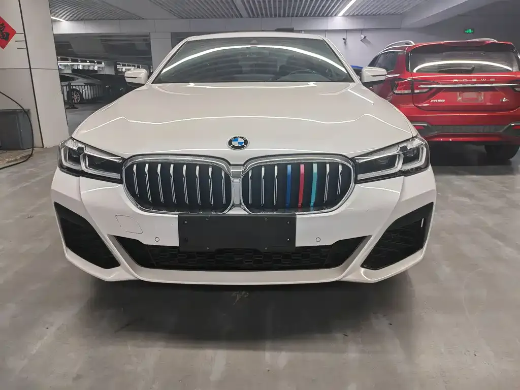 BMW 5 Series 2021 из CN, фото 2