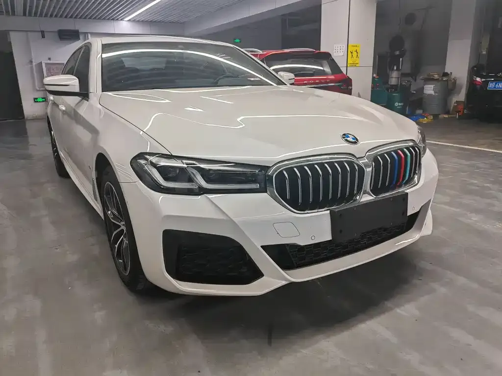 BMW 5 Series 2021 из CN, фото 3