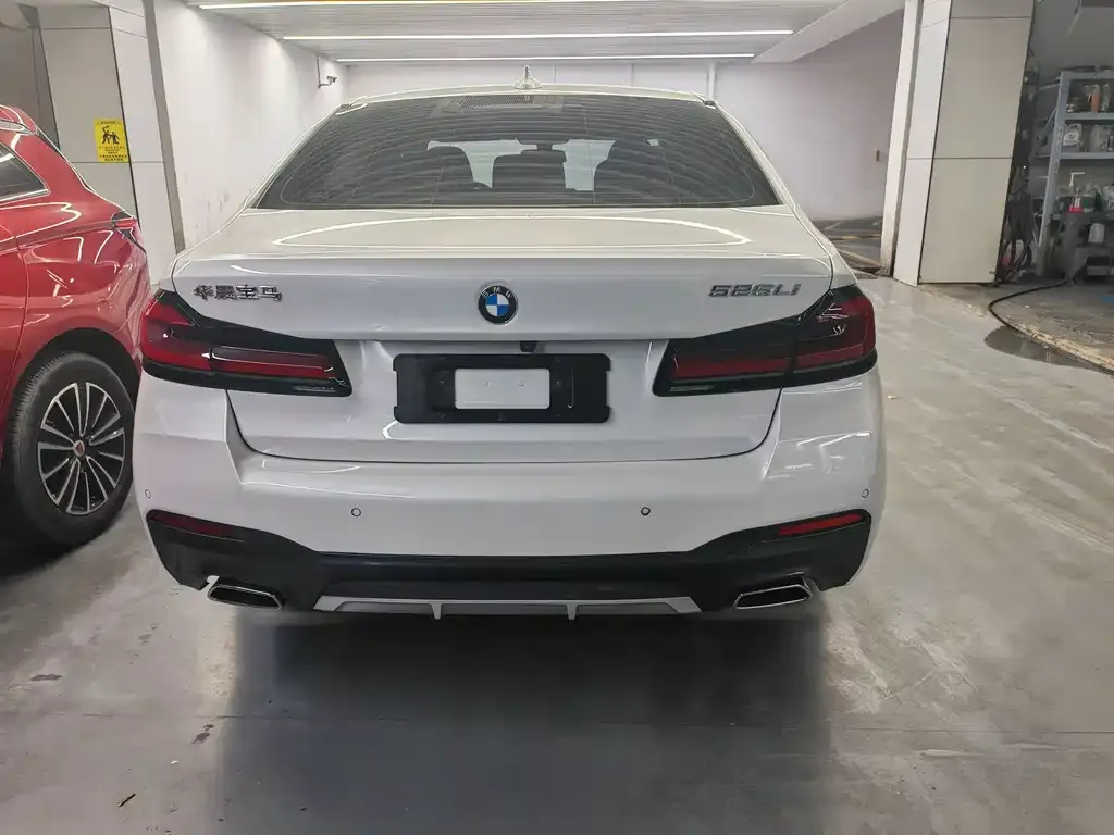 BMW 5 Series 2021 из CN, фото 9