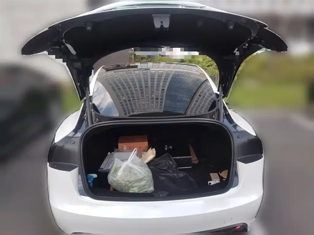 Tesla Model 3 2024 из CN, фото 10