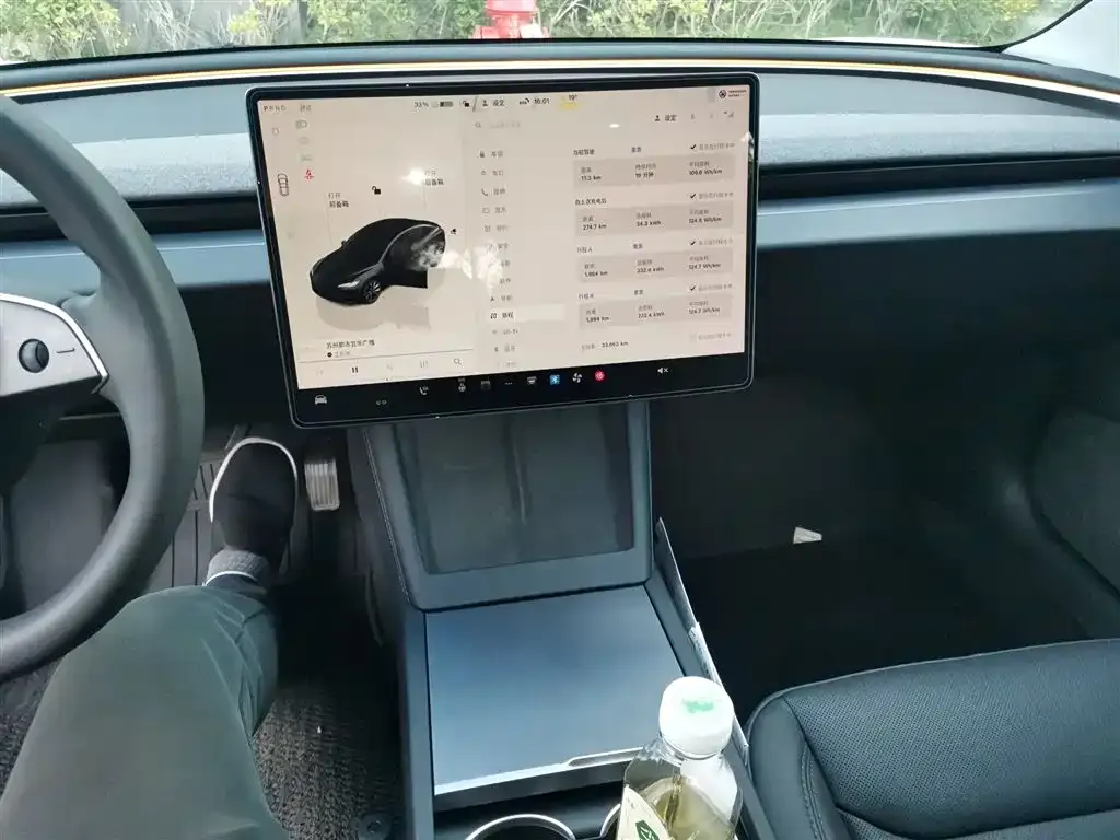 Tesla Model 3 2024 из CN, фото 6