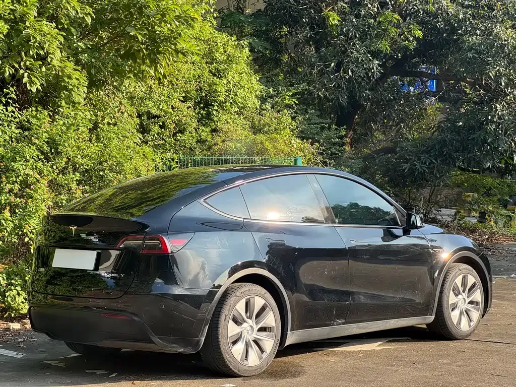 Tesla Model Y — фото 5