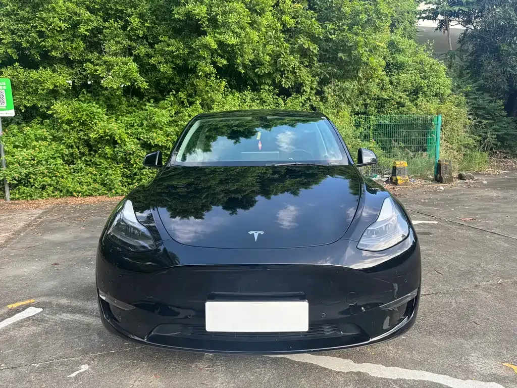 Tesla Model Y — фото 6