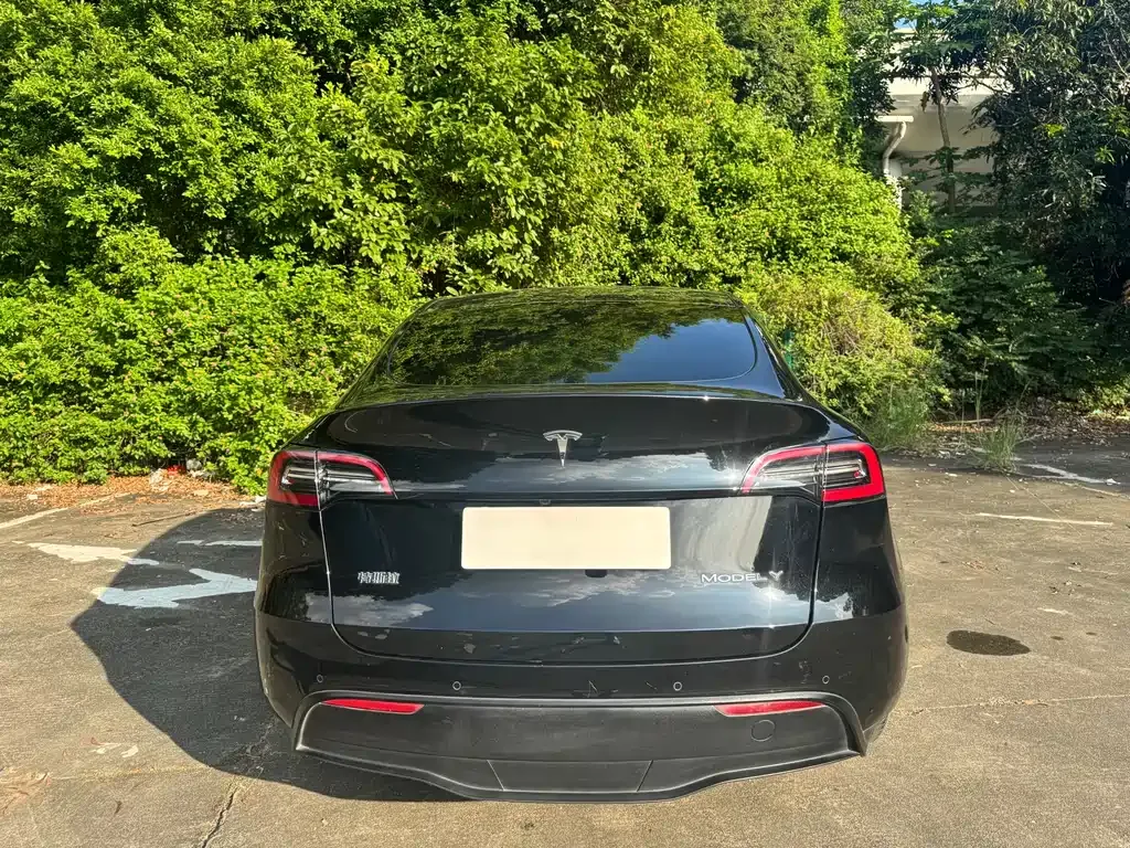Tesla Model Y — фото 7