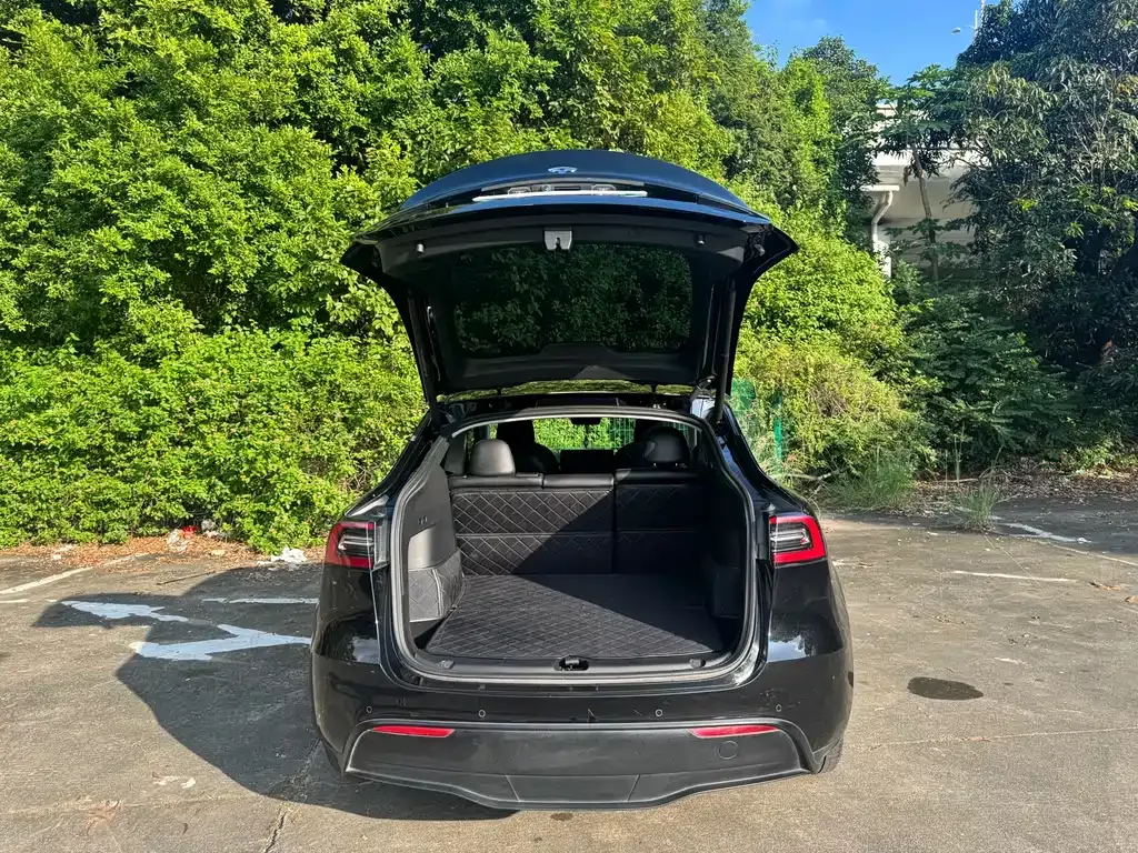 Tesla Model Y — фото 8