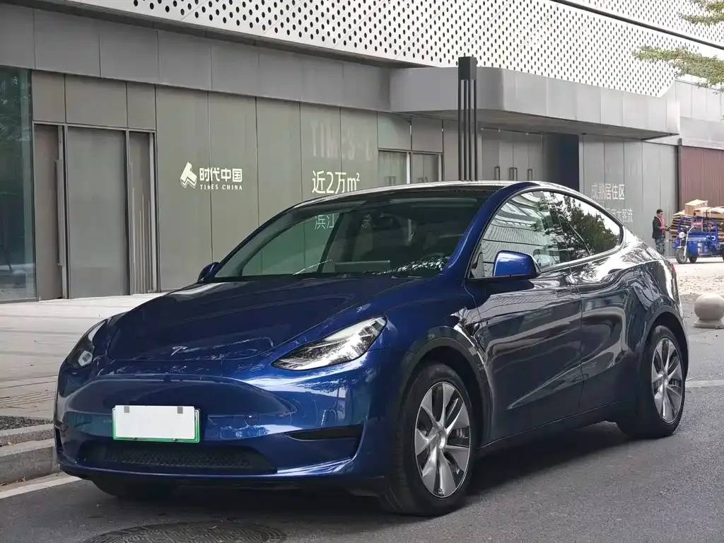 Tesla Model Y 2022 из CN, фото 1