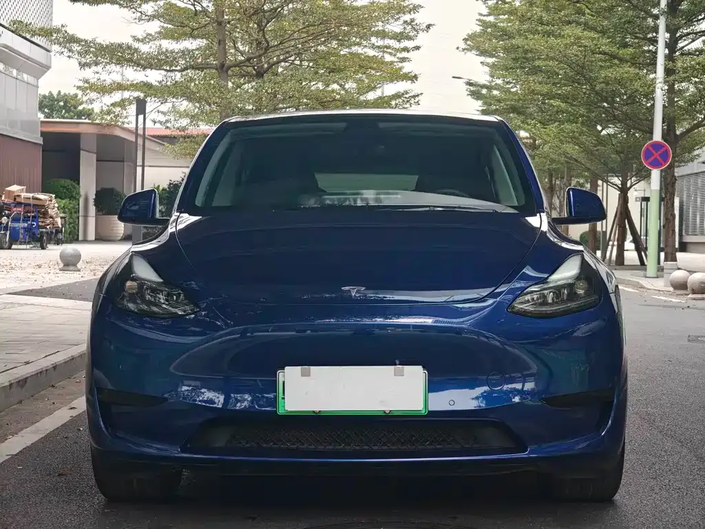 Tesla Model Y 2022 из CN, фото 2