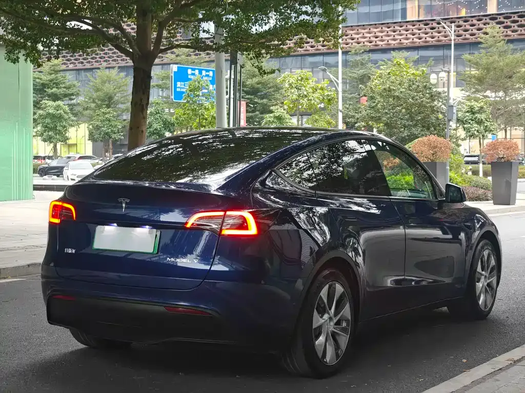 Tesla Model Y 2022 из CN, фото 4