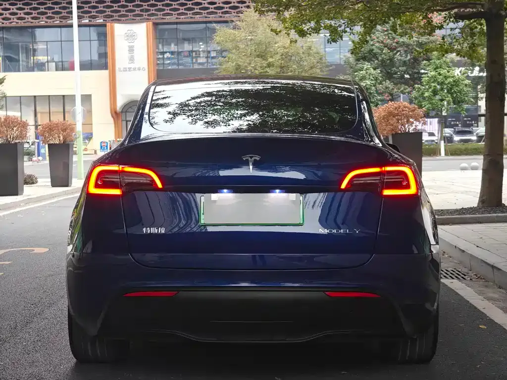Tesla Model Y 2022 из CN, фото 5
