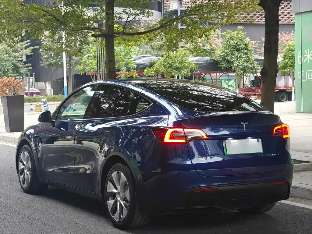 Tesla Model Y 2022 из CN, фото 6