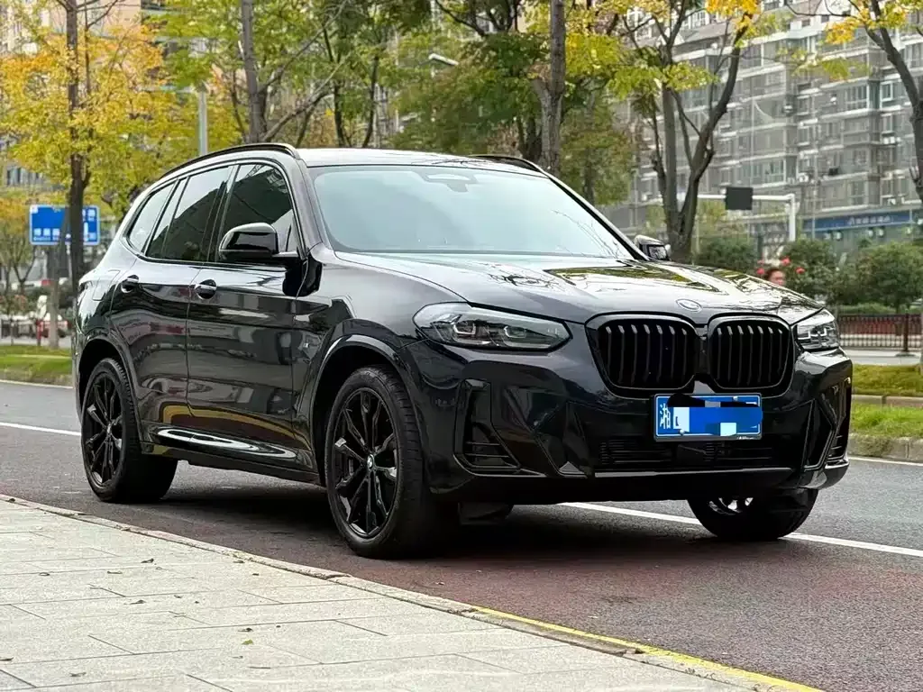 BMW X3 2024 из CN, фото 3