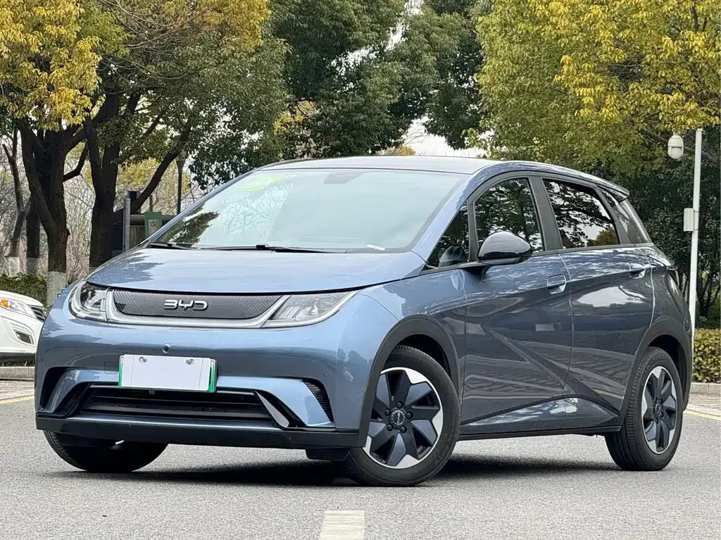 BYD Dolphin 2024 из CN, фото 1