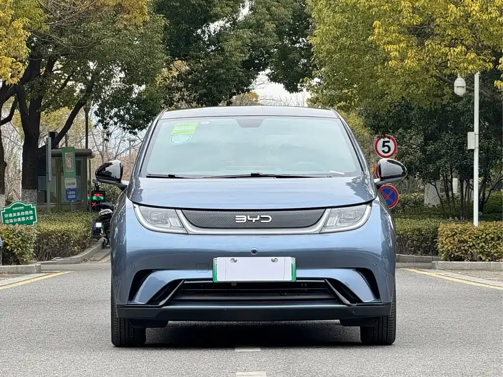 BYD Dolphin 2024 из CN, фото 2