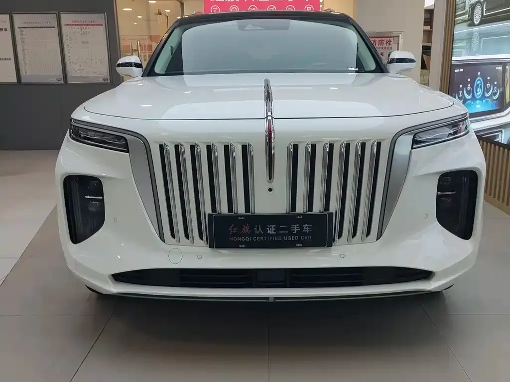 Hongqi E-HS9 2023 из CN, фото 1