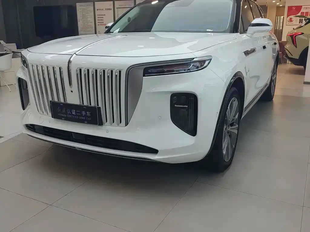 Hongqi E-HS9 2023 из CN, фото 3