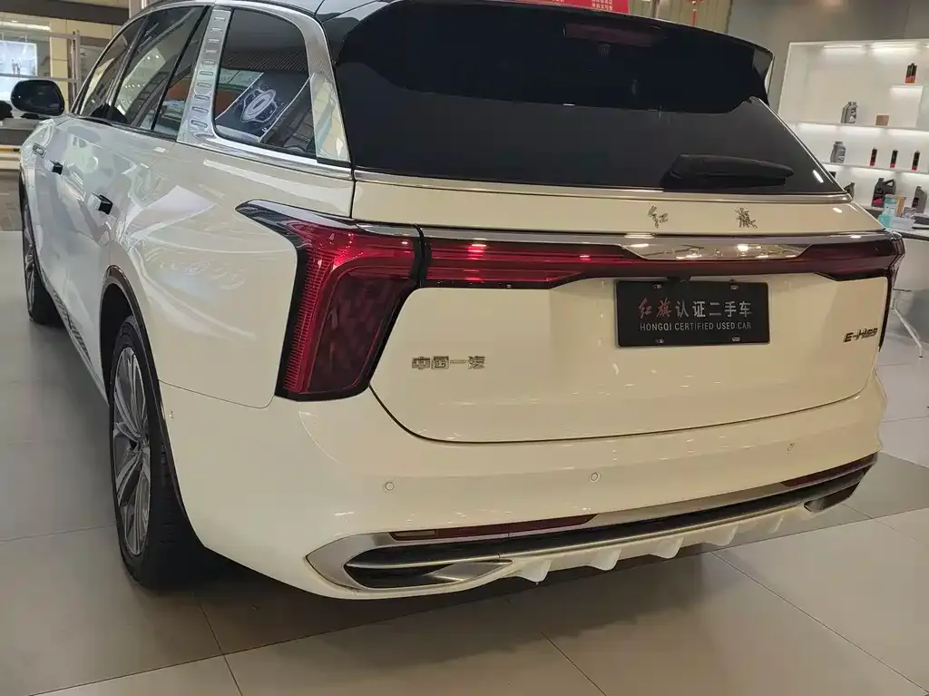 Hongqi E-HS9 2023 из CN, фото 7