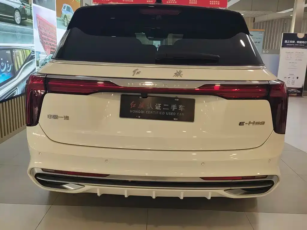 Hongqi E-HS9 2023 из CN, фото 8