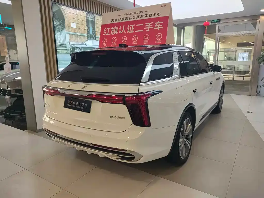 Hongqi E-HS9 2023 из CN, фото 9