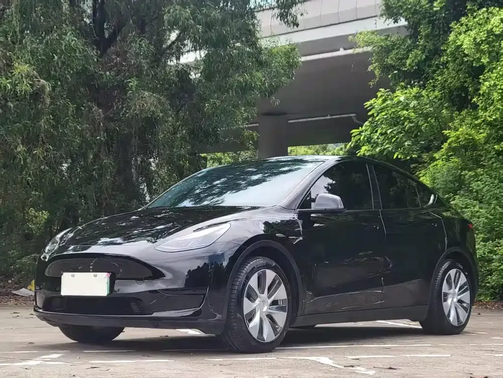 Tesla Model Y 2022 из CN, фото 1