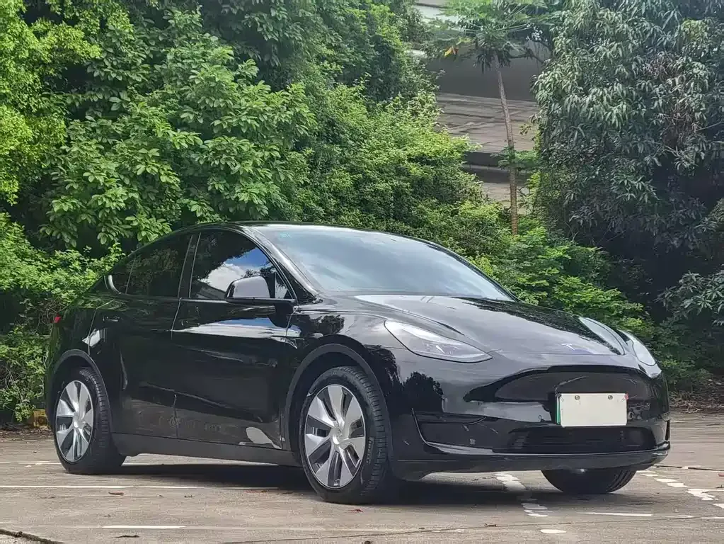Tesla Model Y 2022 из CN, фото 3