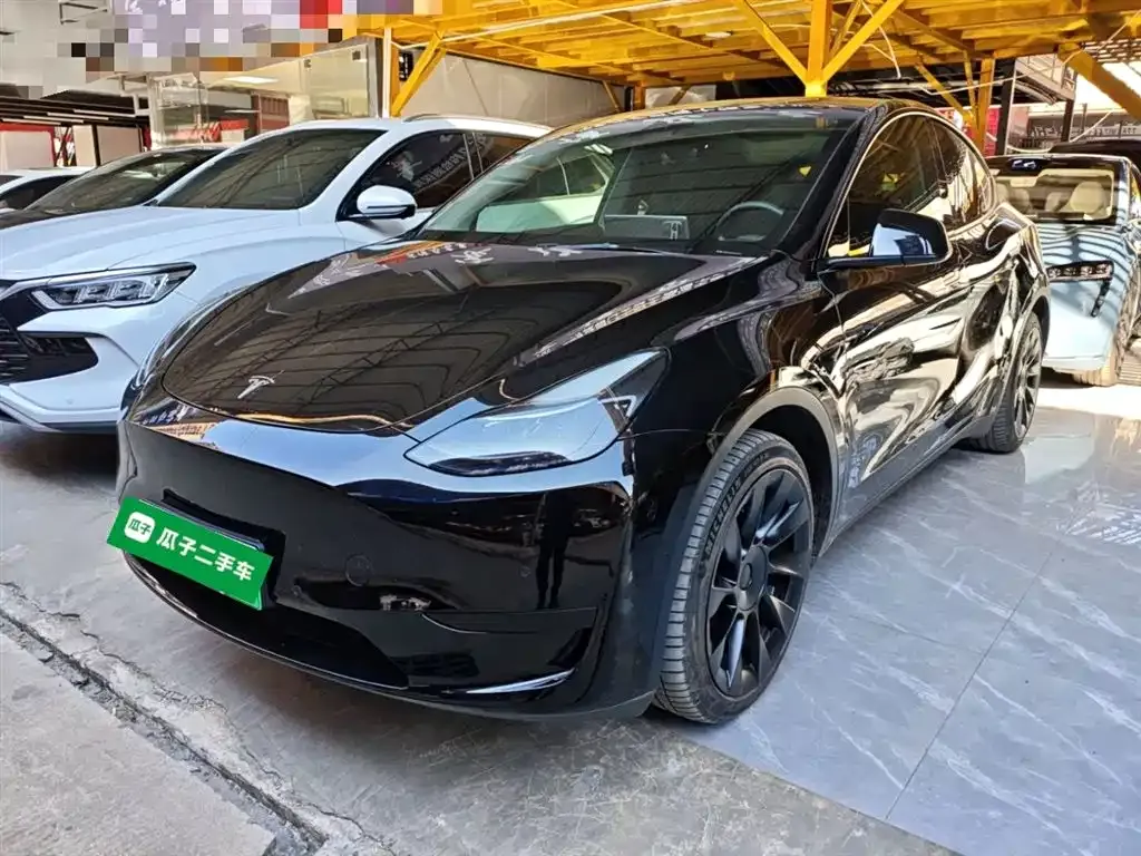 Tesla Model Y — фото 2