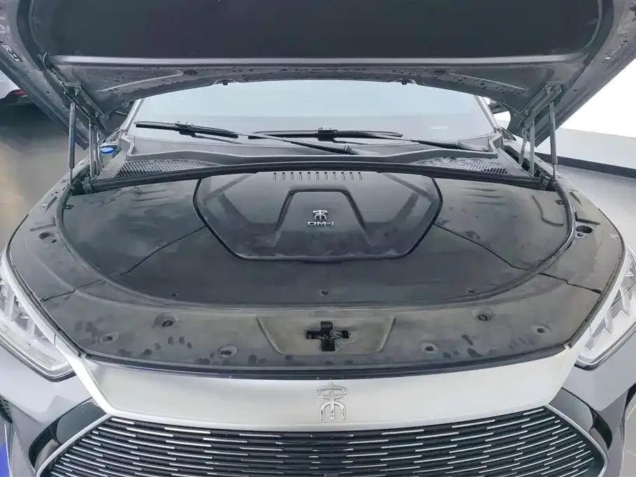 BYD PLUS New Energy 2023 из CN, фото 10