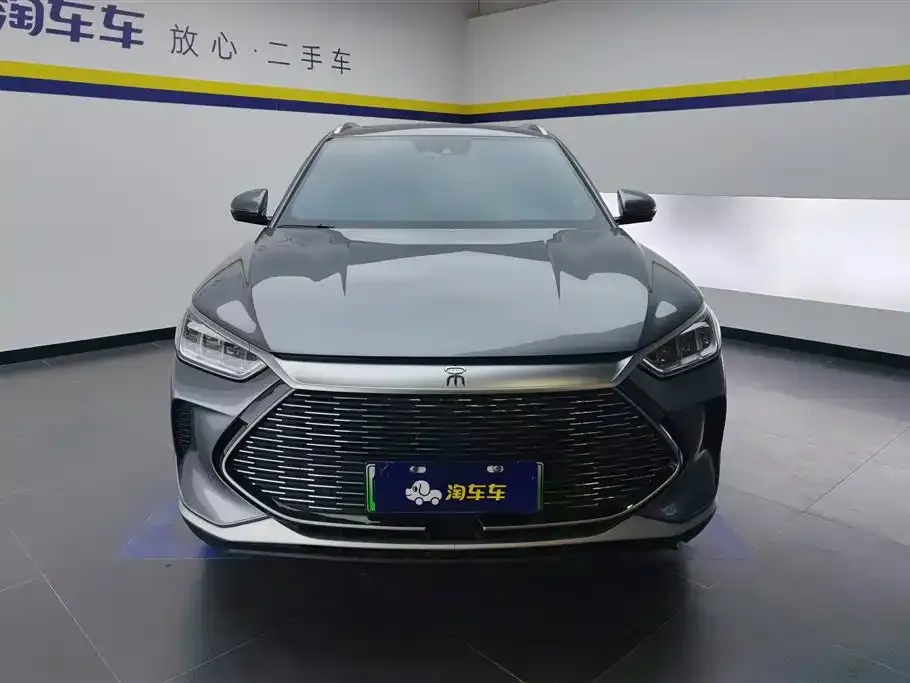 BYD PLUS New Energy 2023 из CN, фото 2