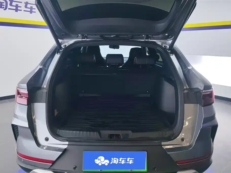 BYD PLUS New Energy 2023 из CN, фото 4