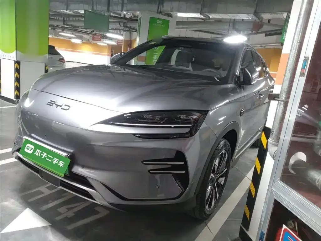 BYD PLUS New Energy — фото 2