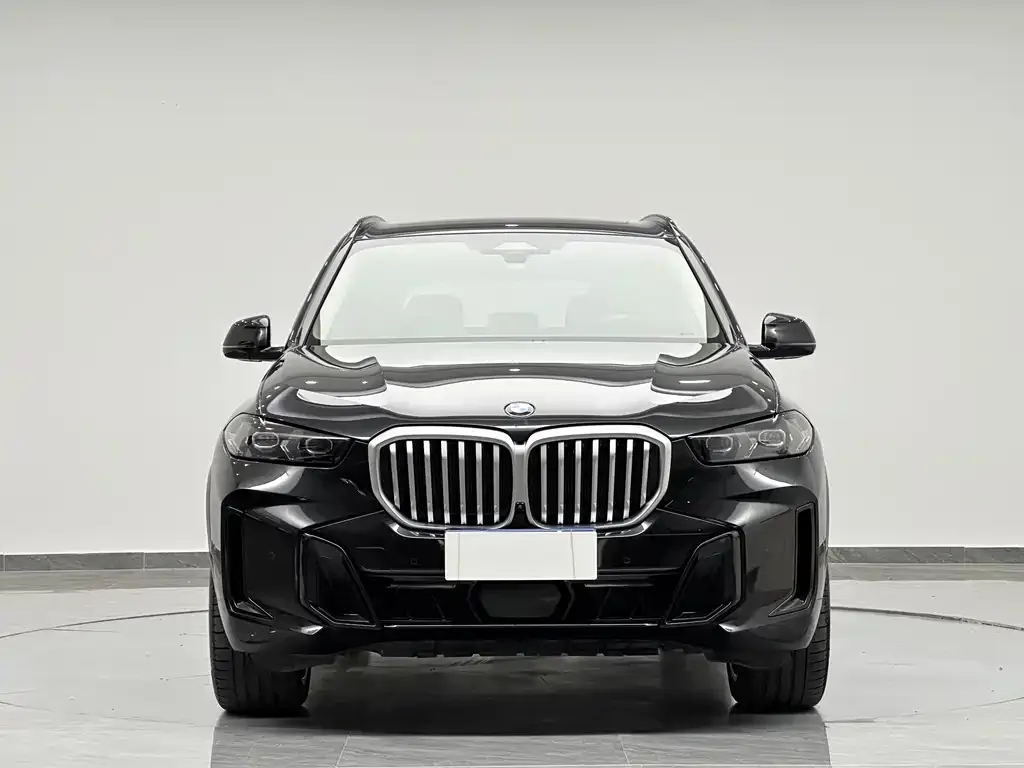 BMW X5 2023 из CN, фото 10