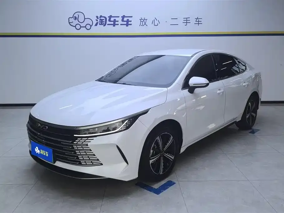 BYD Destroyer 05 2024 из CN, фото 1