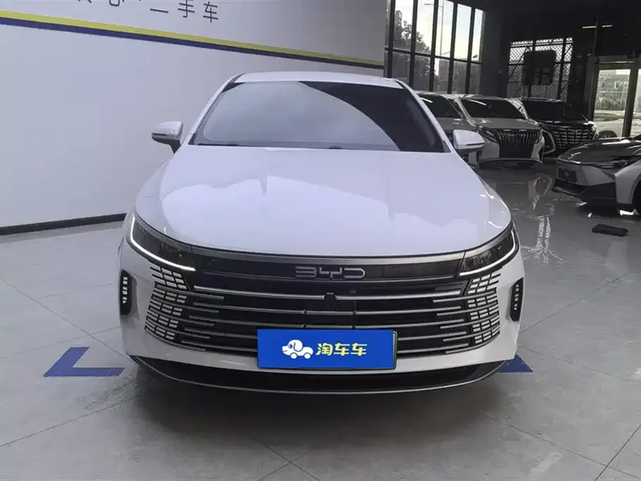BYD Destroyer 05 2024 из CN, фото 2