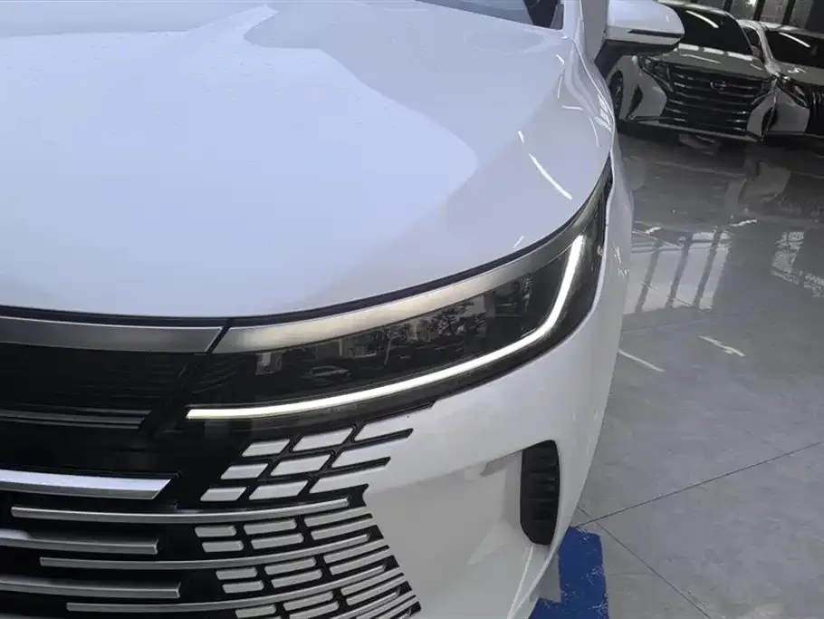 BYD Destroyer 05 2024 из CN, фото 5