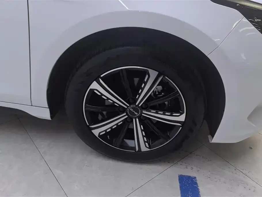 BYD Destroyer 05 2024 из CN, фото 6