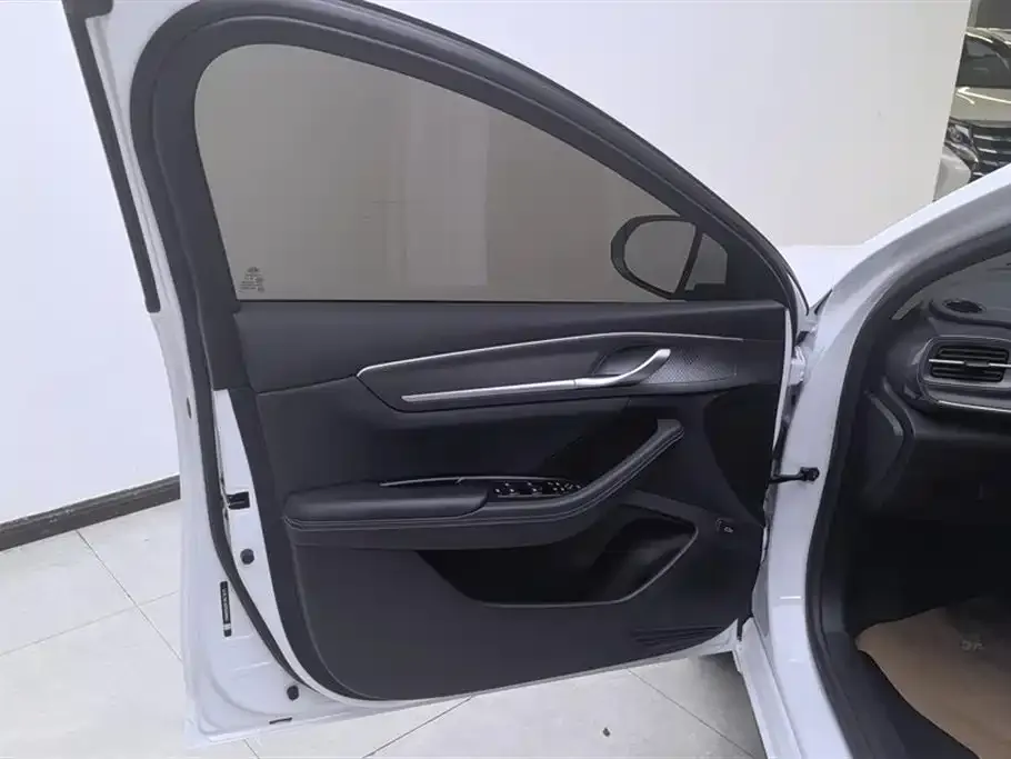 BYD Destroyer 05 2024 из CN, фото 7