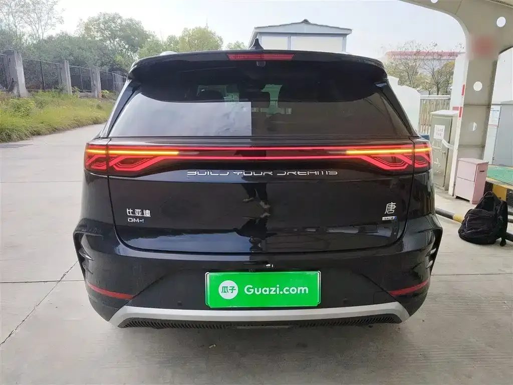 BYD Tang New Energy 2025 из CN, фото 6