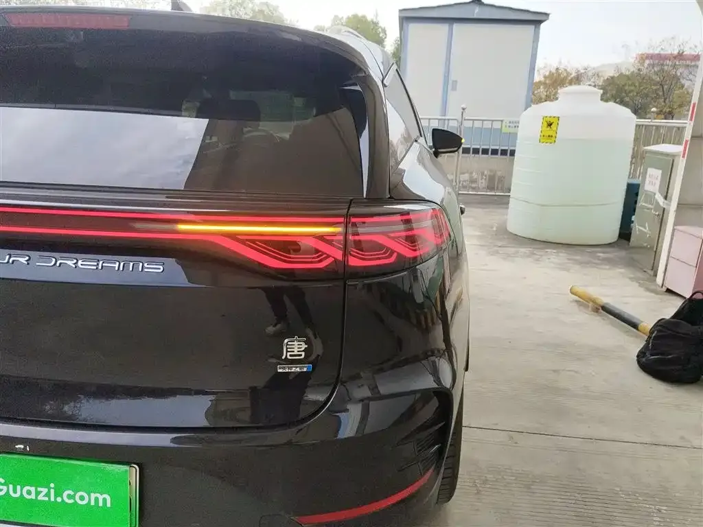 BYD Tang New Energy 2025 из CN, фото 8
