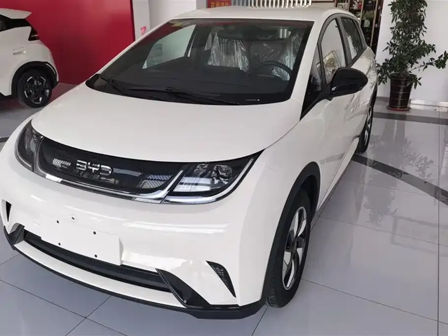 BYD Dolphin 2025 из CN, фото 1