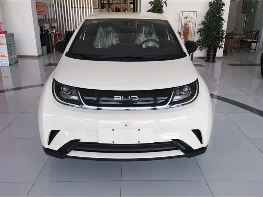 BYD Dolphin 2025 из CN, фото 2