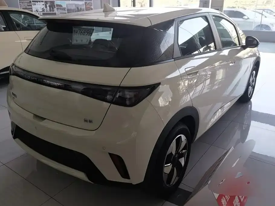 BYD Dolphin 2025 из CN, фото 3