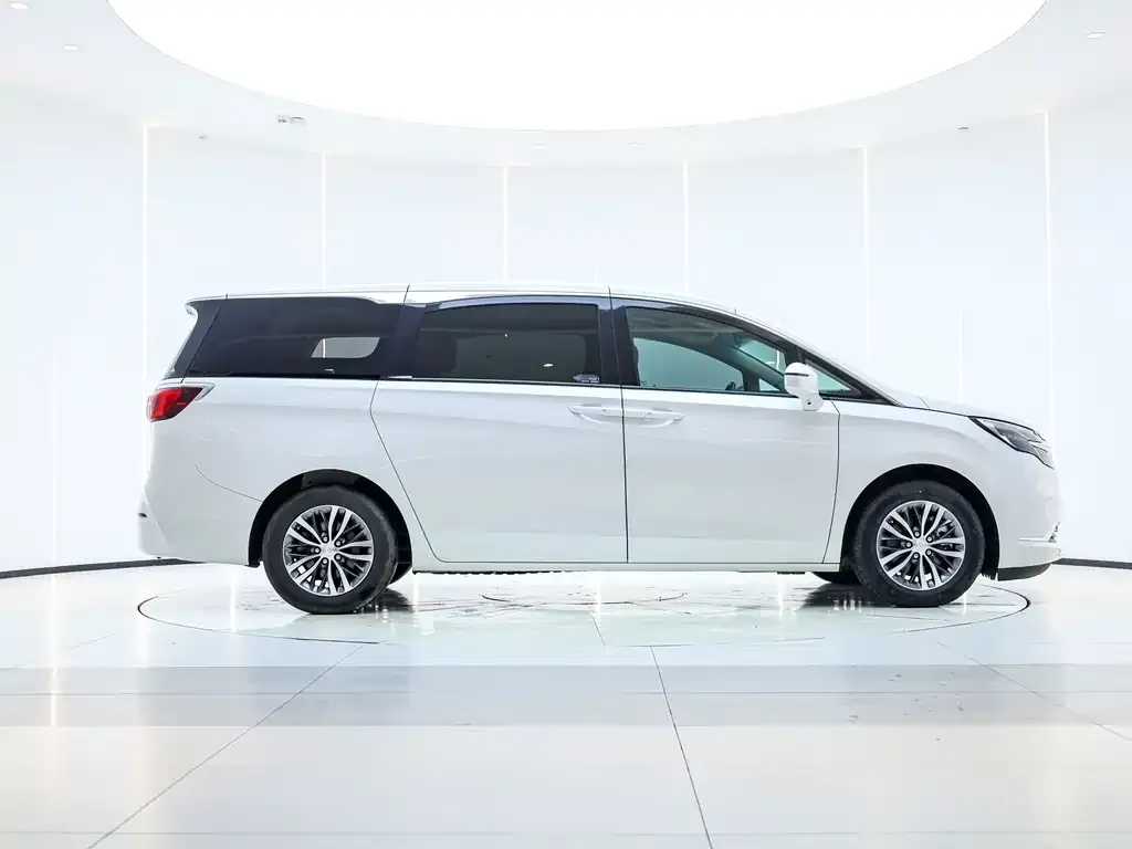 Buick GL8 2021 из CN, фото 7