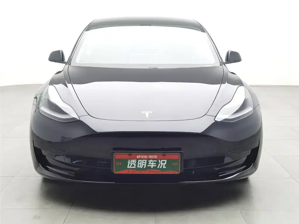 Tesla Model 3 2021 из CN, фото 3
